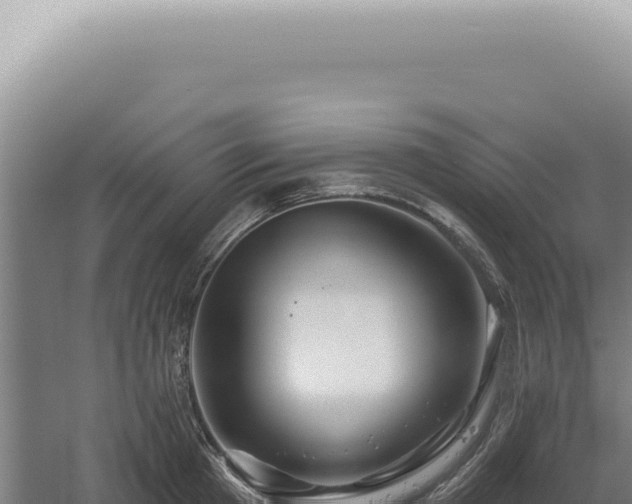 X0000060580801200511101654