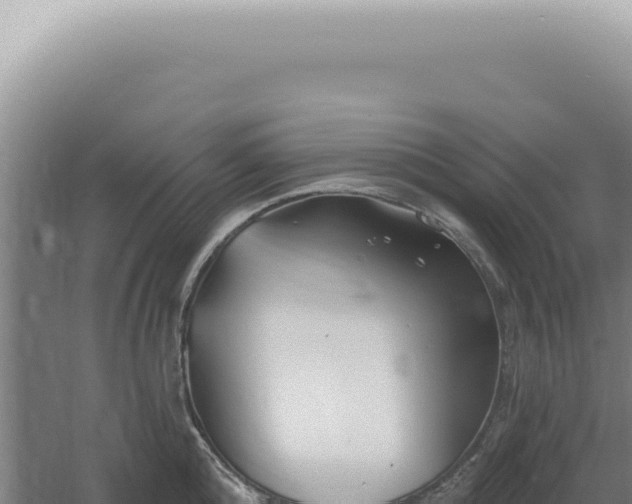 X0000060580808200511101654