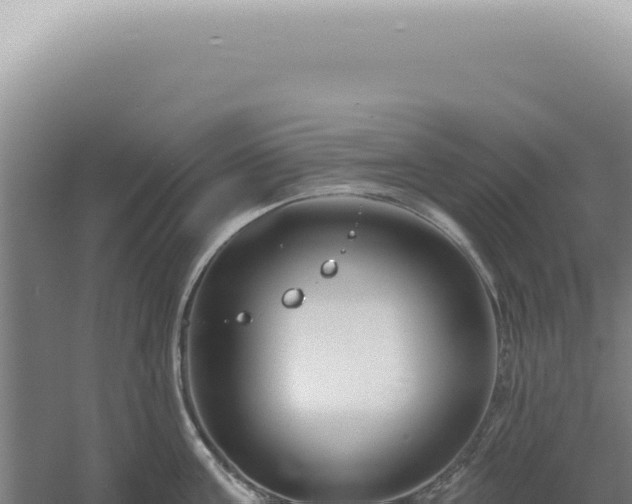 X0000060580811200511101654