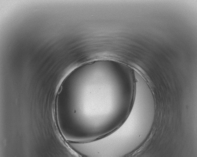 X0000060580812200511101654