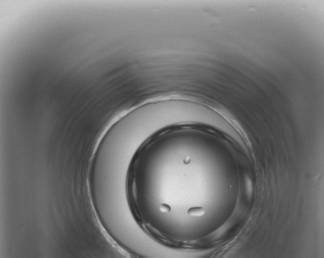 X0000060580813200511101654