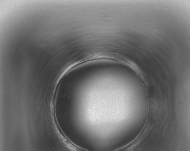 X0000060580814200511101654