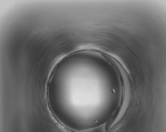 X0000060580815200511101654