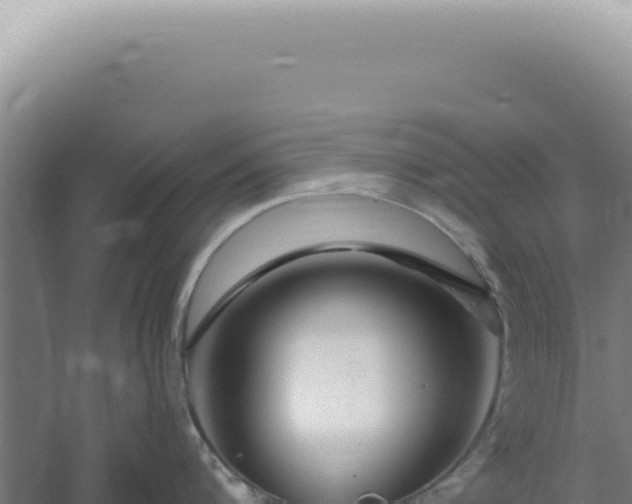 X0000060580816200511101654