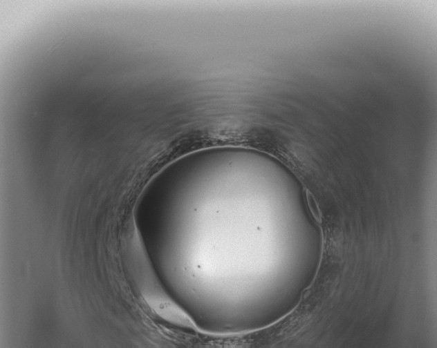 X0000060580817200511101653