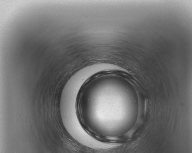 X0000060580818200511101653