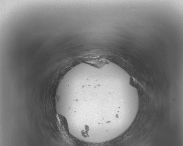 X0000060580820200511101653