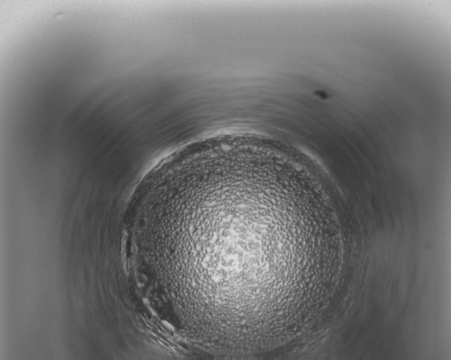 X0000060580823200511101653