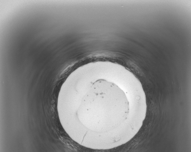 X0000060580824200511101653