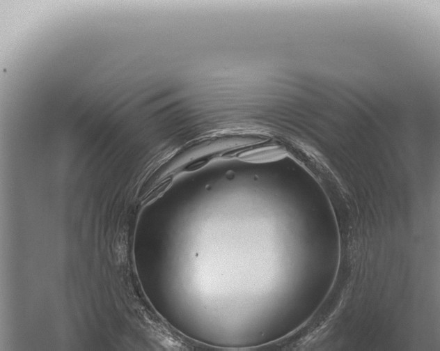 X0000060580833200511101653