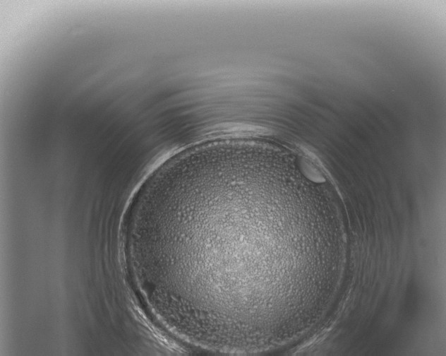 X0000060580835200511101653