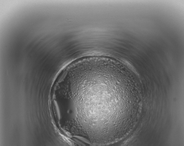 X0000060580839200511101654