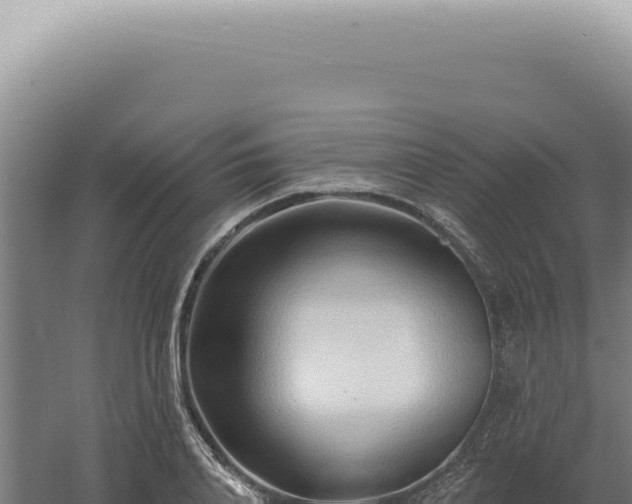 X0000060580840200511101654