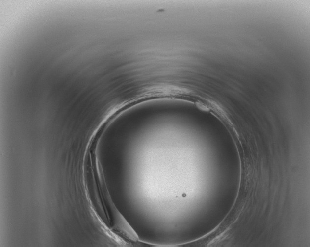 X0000060580843200511101654