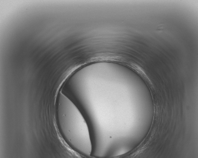 X0000060580844200511101654