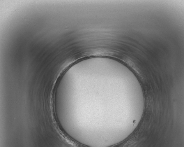 X0000060580848200511101654