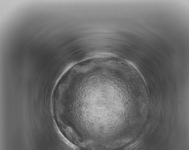 X0000060580851200511101654