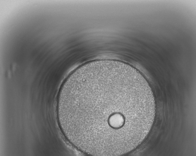 X0000060580856200511101654