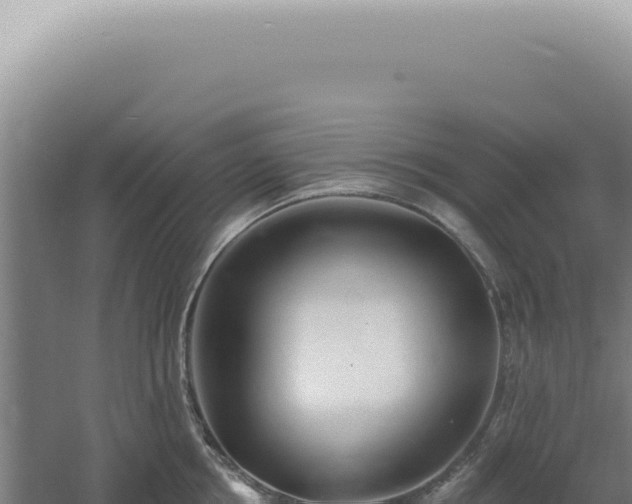 X0000060580858200511101654