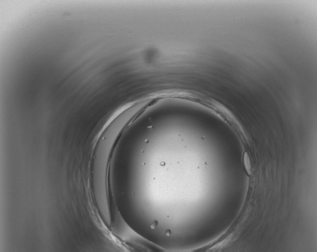 X0000060580860200511101654