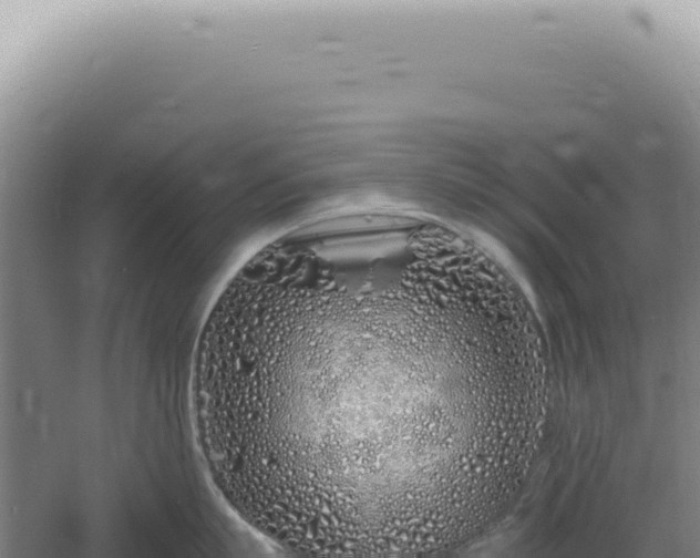 X0000060580863200511101654