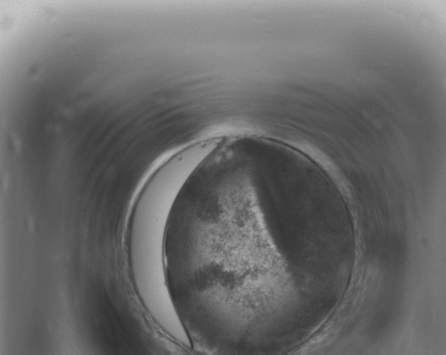 X0000060580864200511101654