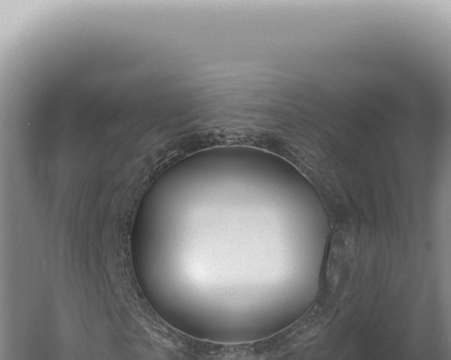 X0000060580865200511101653