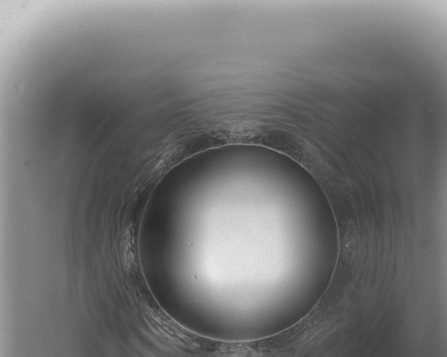 X0000060580866200511101653