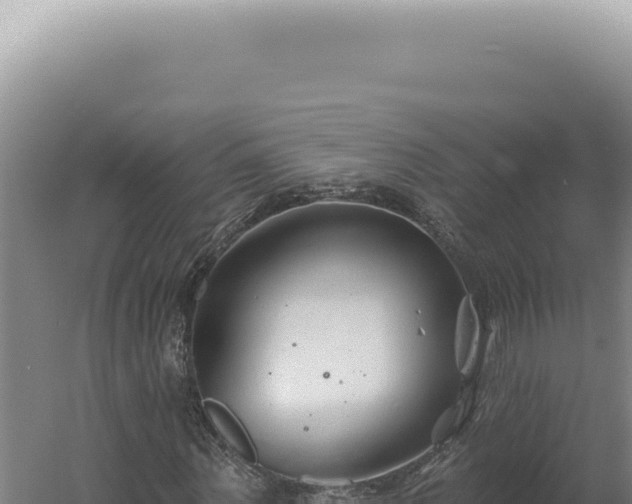 X0000060580867200511101653