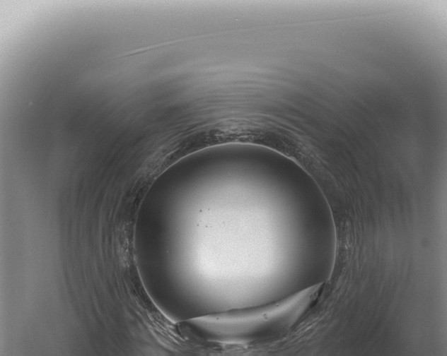 X0000060580868200511101653