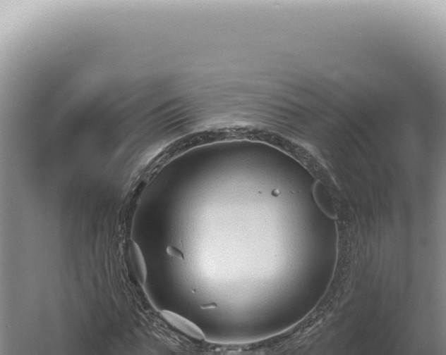 X0000060580871200511101653