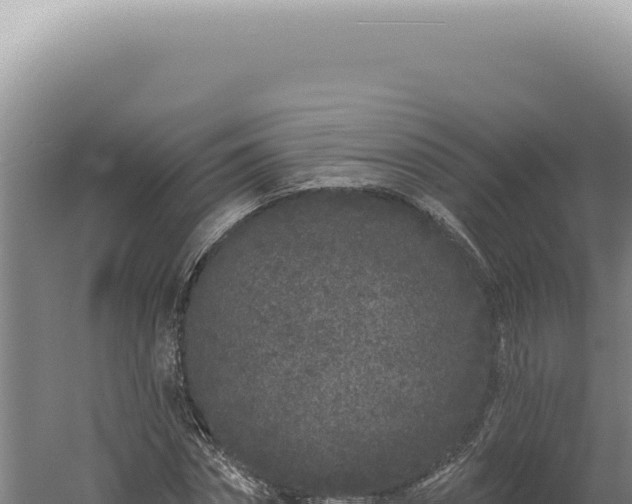 X0000060580874200511101653