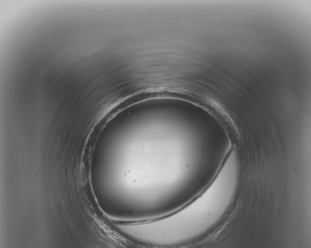 X0000060580876200511101653