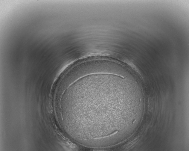 X0000060580878200511101653