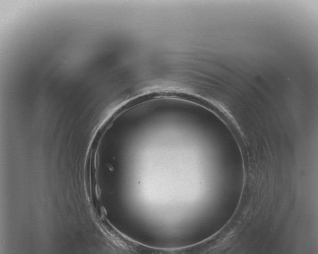 X0000060580887200511101653