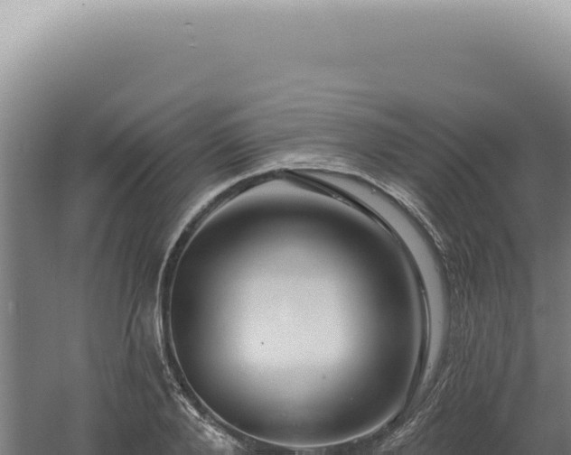 X0000060580888200511101653