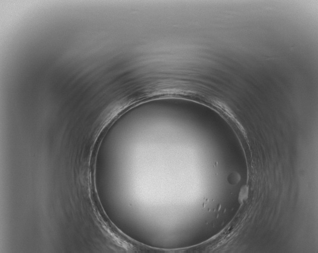 X0000060580890200511101653