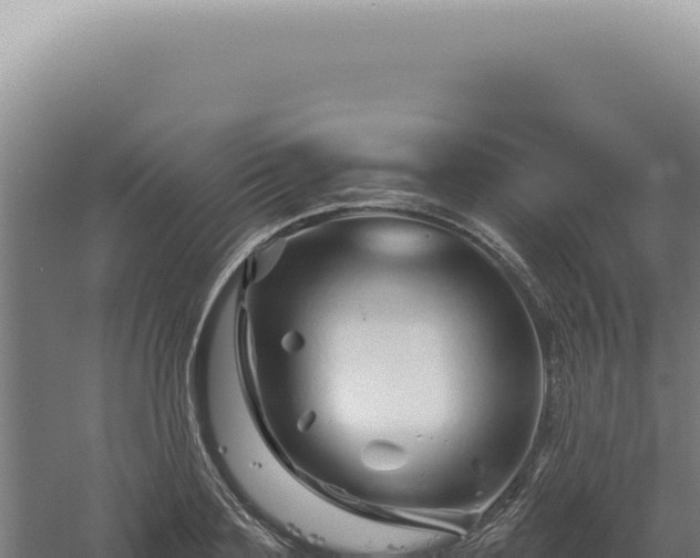 X0000060580891200511101653