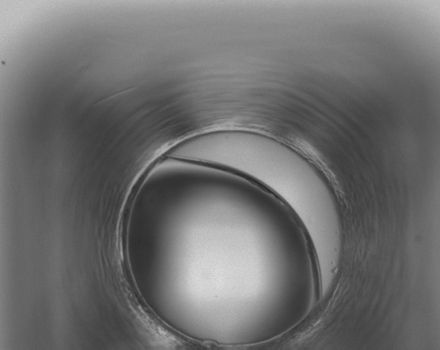 X0000060580892200511101653