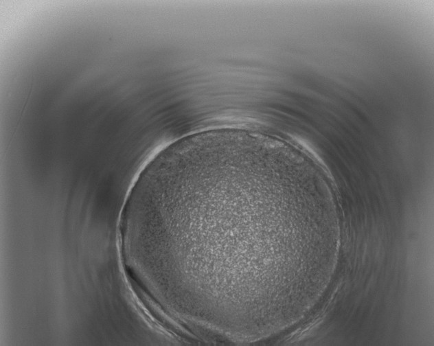 X0000060580899200511101653