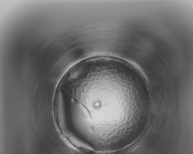 X0000060580903200511101652