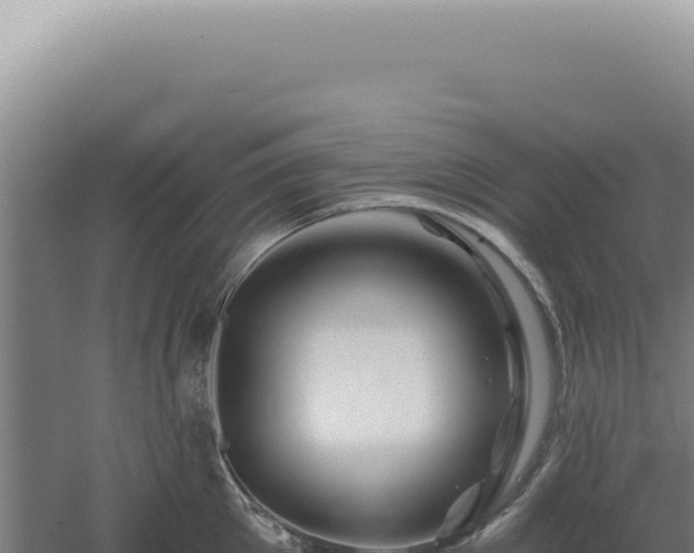 X0000060580905200511101652