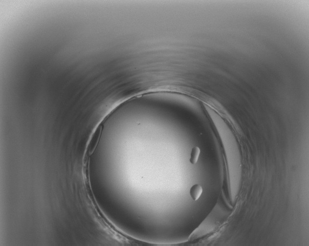 X0000060580908200511101652