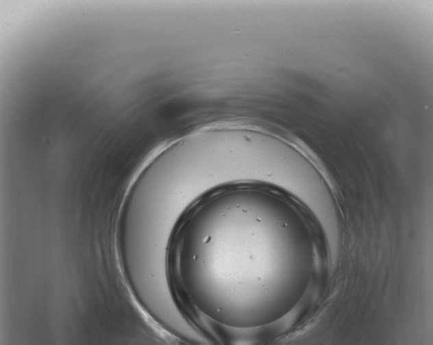 X0000060580909200511101652