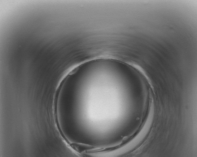 X0000060580910200511101652