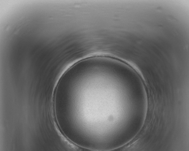 X0000060580911200511101652