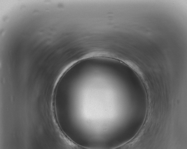 X0000060580912200511101652