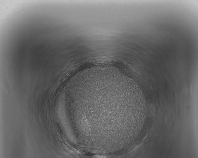 X0000060580913200511101652