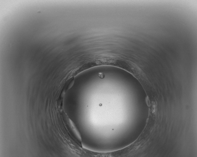 X0000060580915200511101652