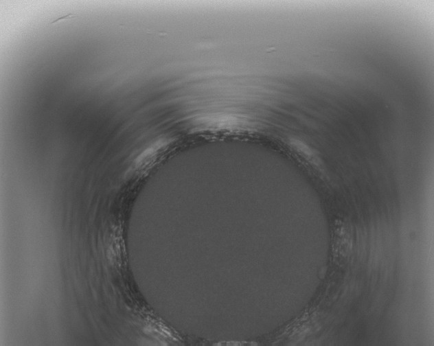 X0000060580918200511101652